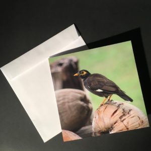 Card Bird